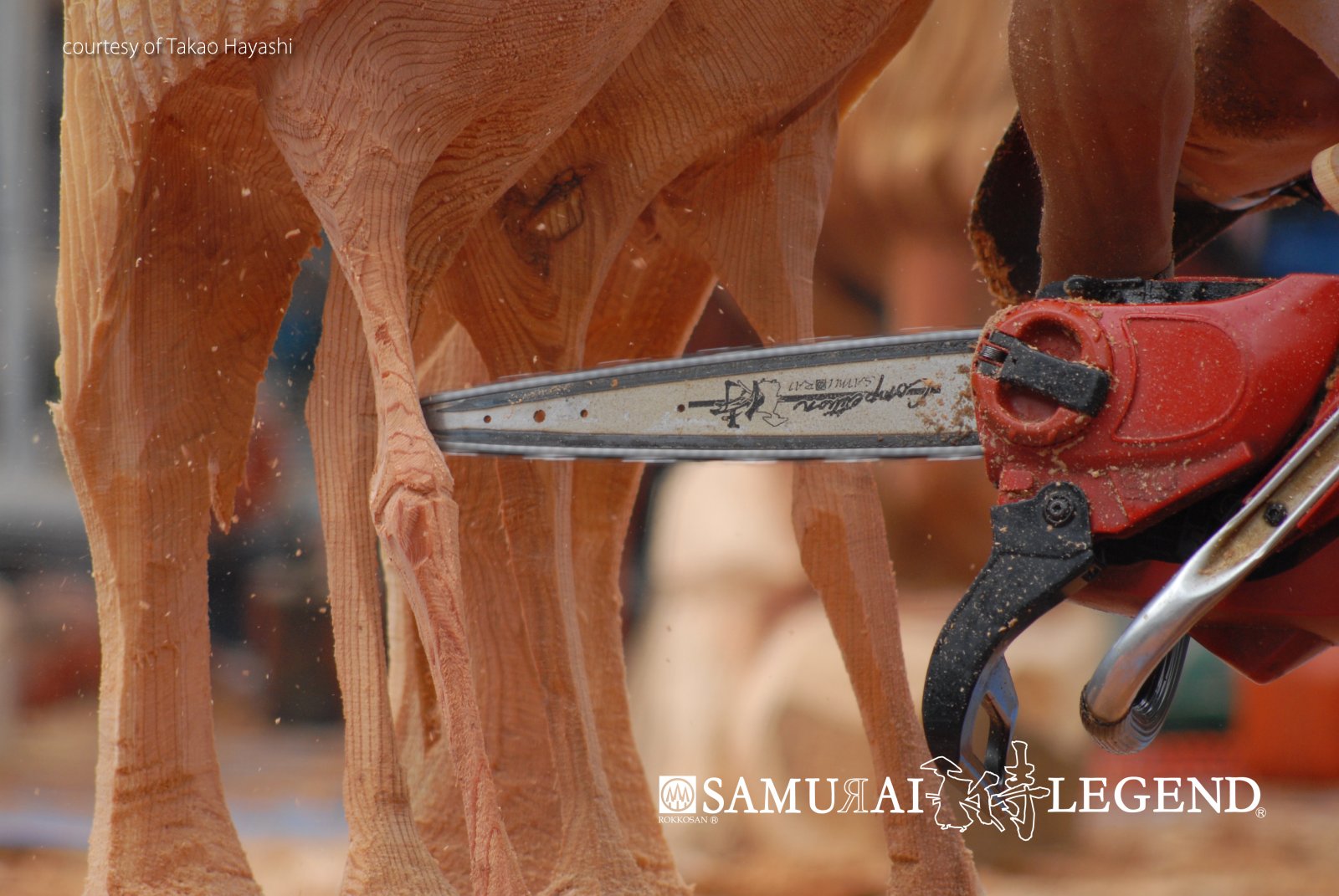 Samurai Legend Carving Schienen