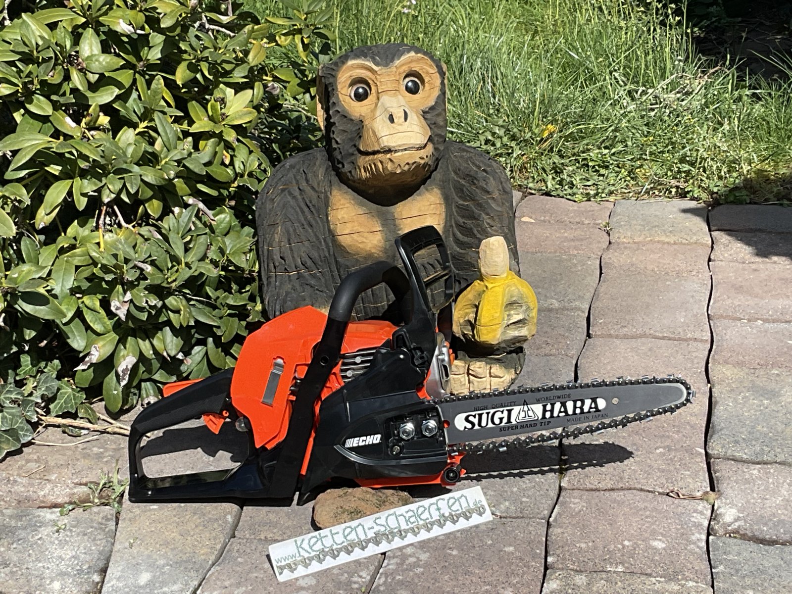 Echo 3410 Carving