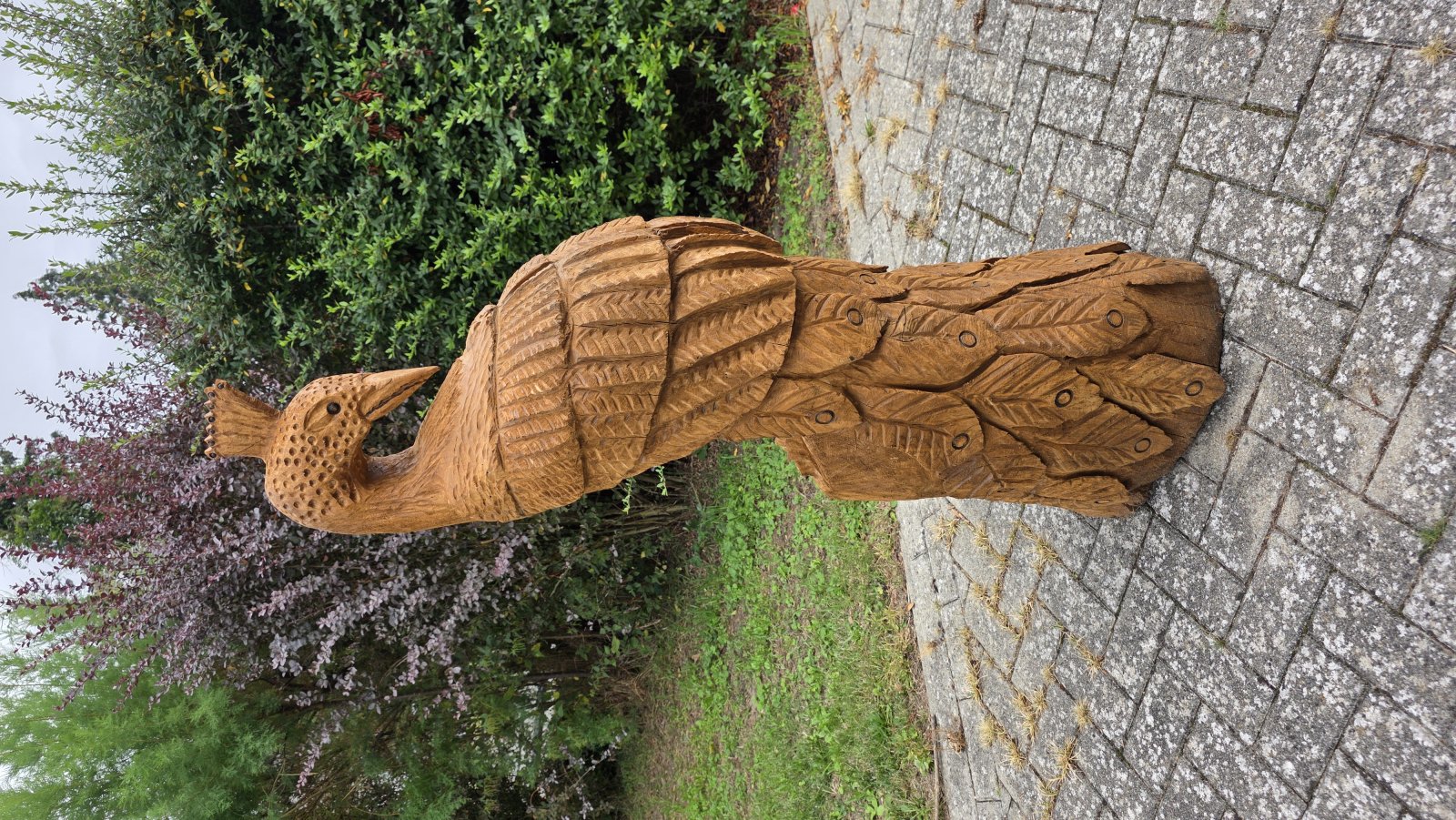 Pfau