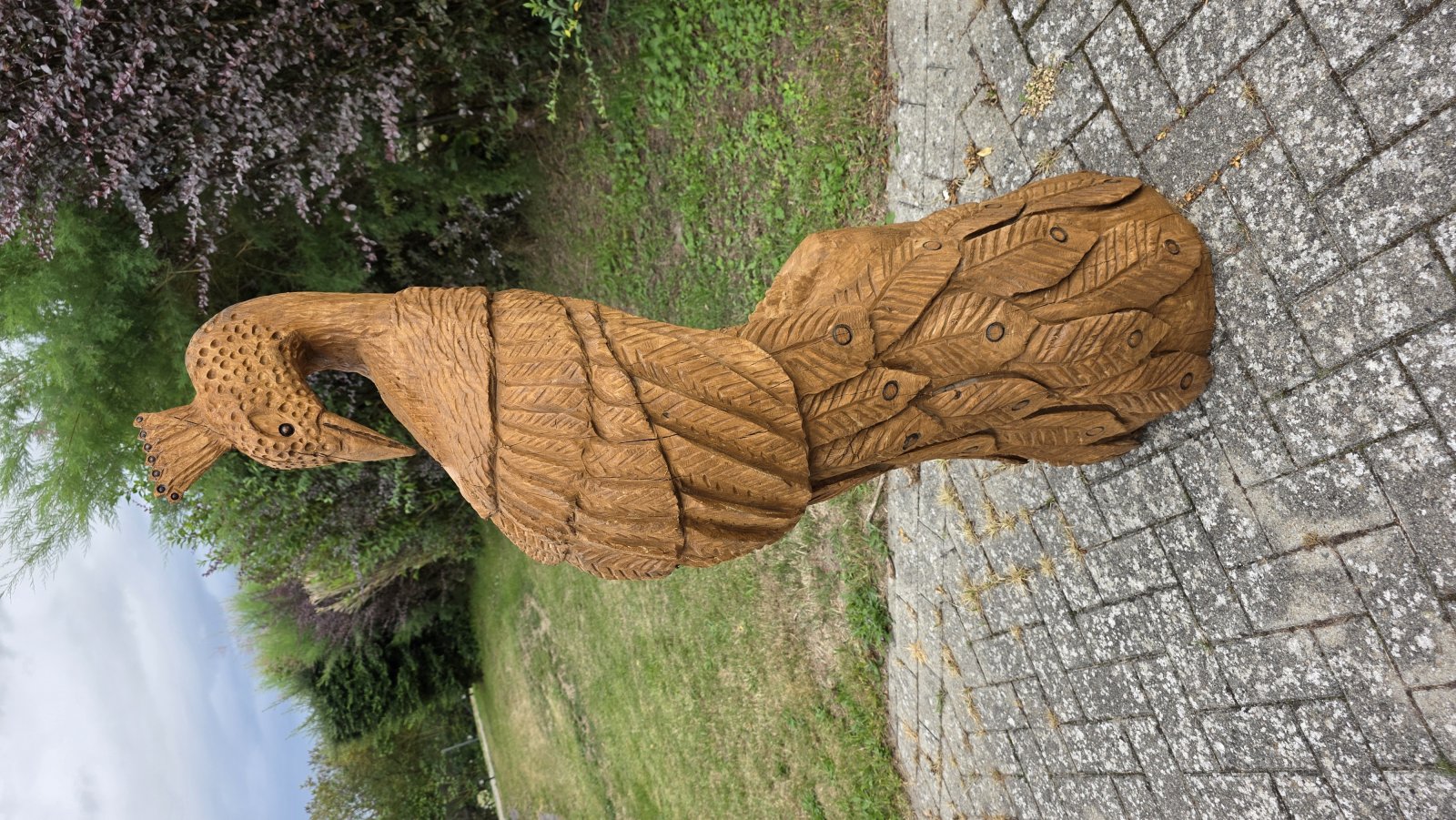Pfau
