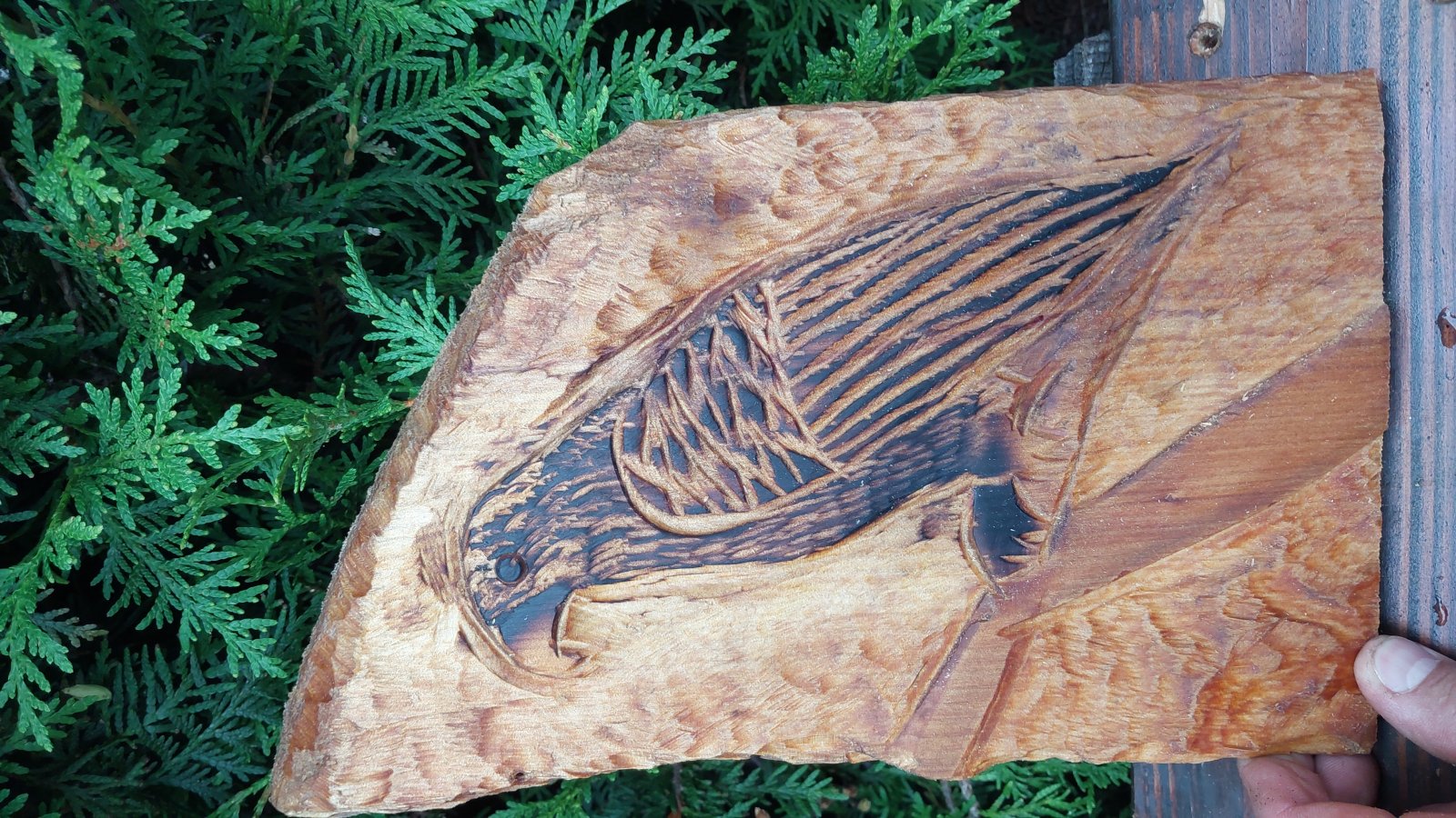 Sitzender Vogel auf'm Ast (Holzrelief )