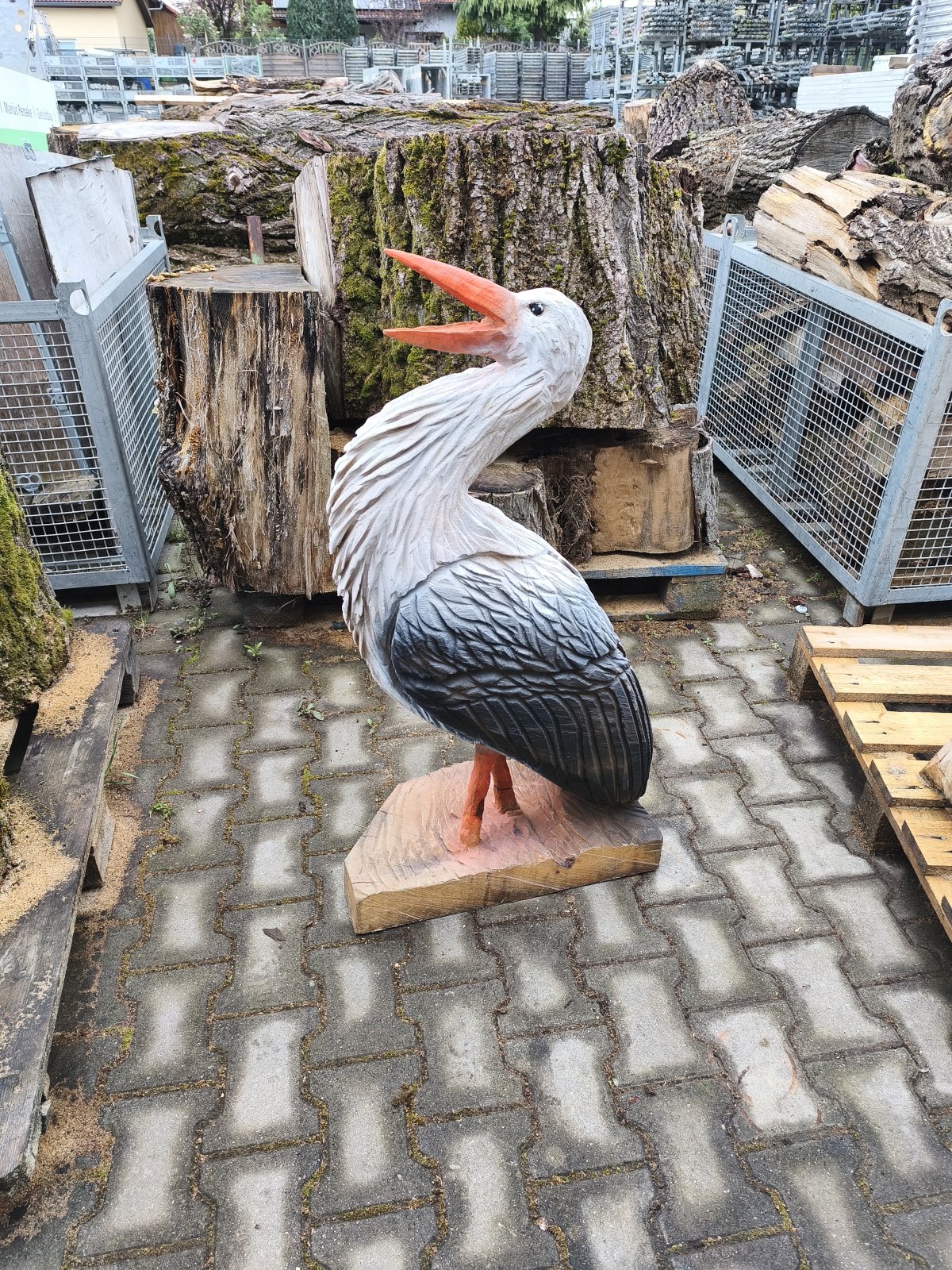 Storch