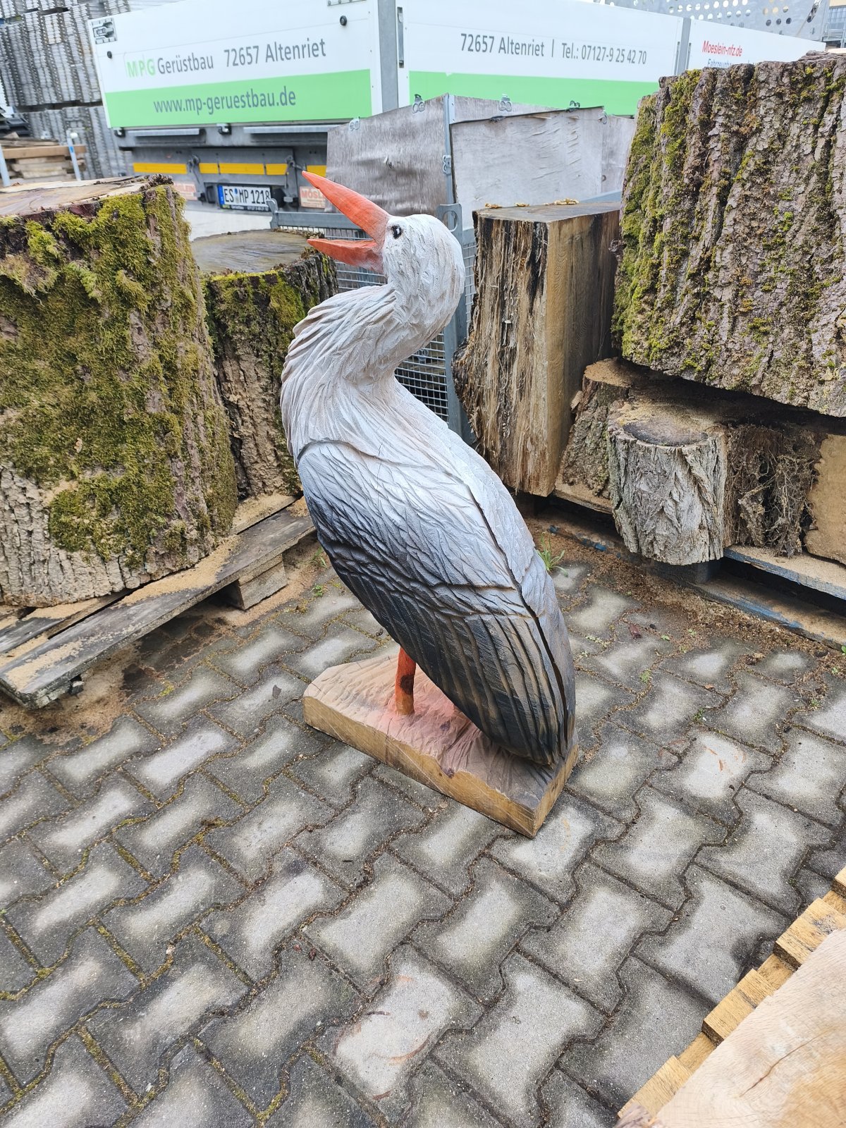 Storch