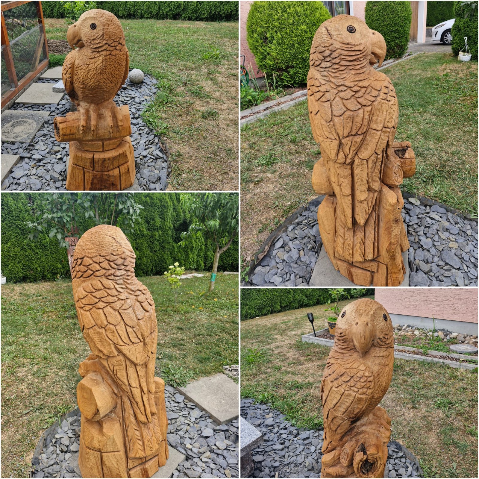 Papagei