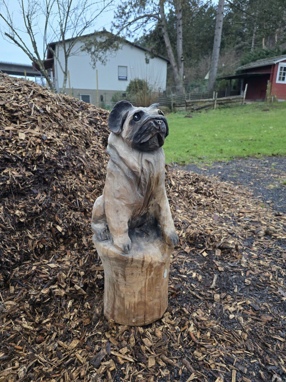 Hunde