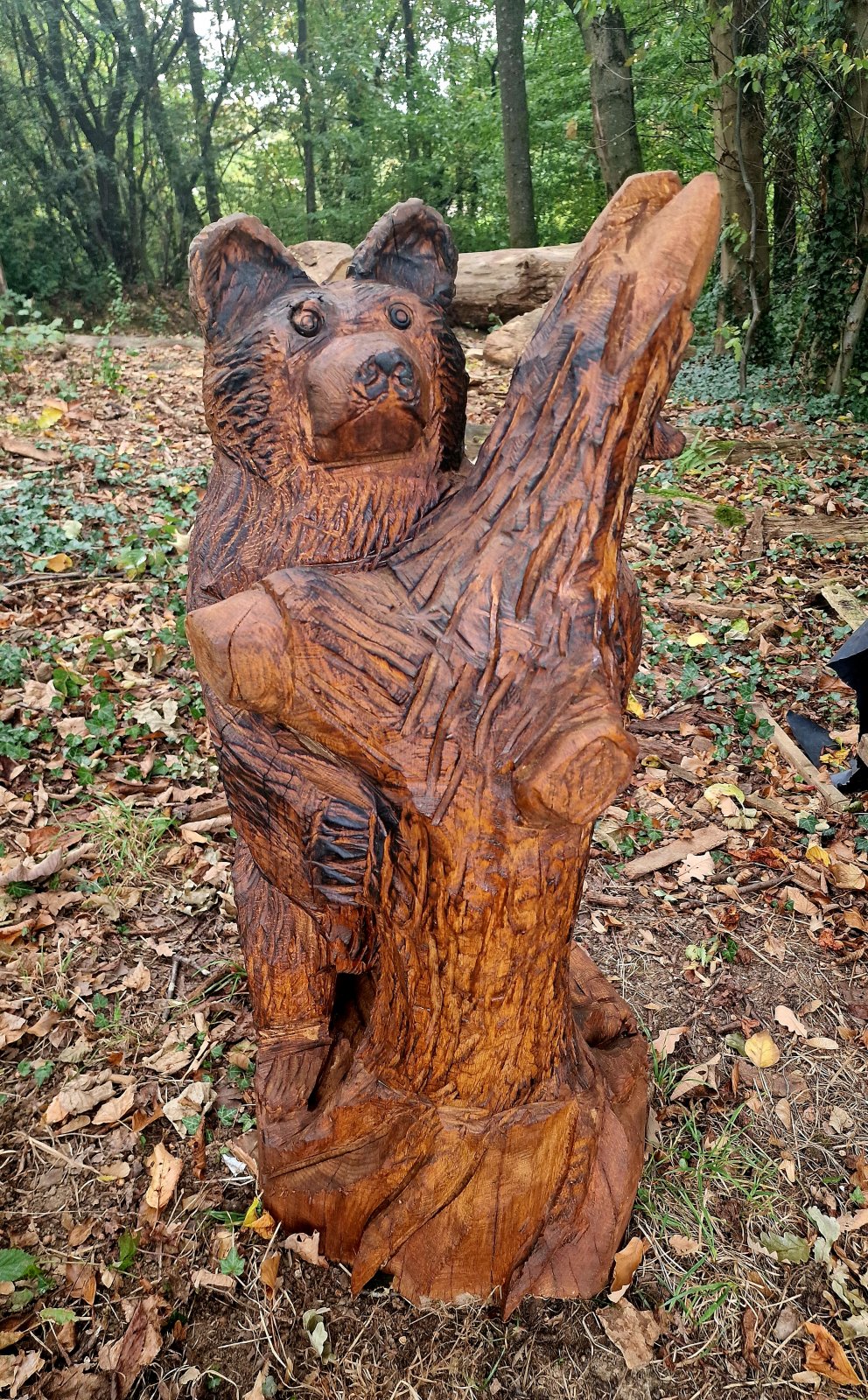 Bär