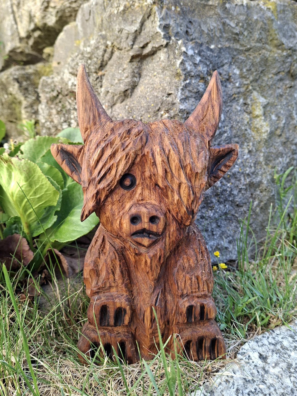 ,,little funny Highlandcow,,