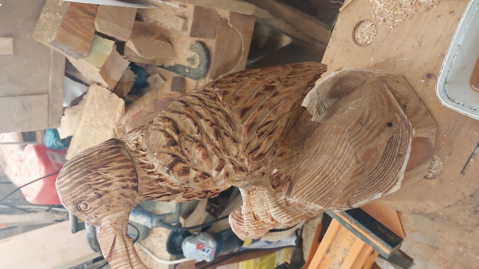 Rabe aus Lärche